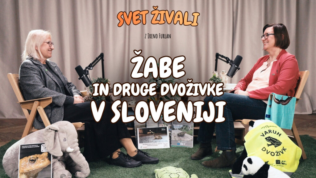 Dvoživke: Zakaj so ključne za naravo, razbijanje predsodkov in LIFE Amphicon | Katja Poboljšaj