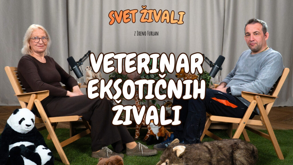 Kako veš, da je žival bolna? Veterinar ZOO Ljubljana razkriva skrivnosti | dr. Pavel Kvapil